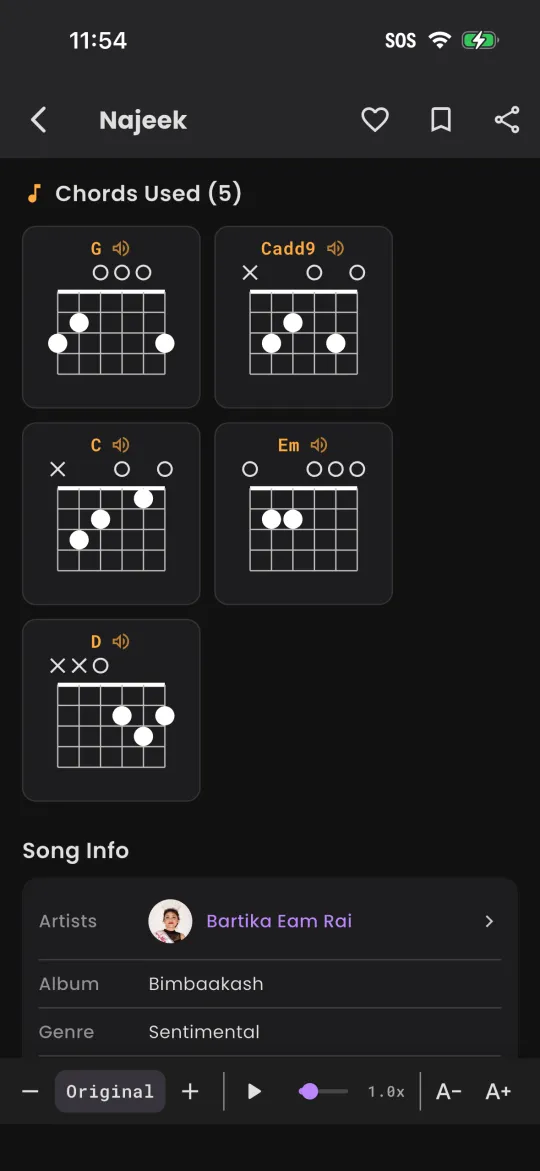 Nepali Lyrics — app screen 2